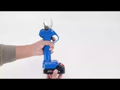 Auston AES20-3 snoeier