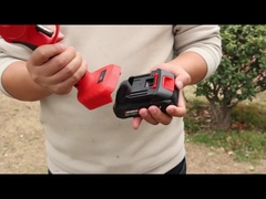 Auston AES20-4 snoeier