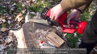 Kettingzaag met oplaadbare batterij van 8 inch