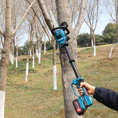 12 Inch 800W Telescopic Electric Pole Chainsaw for Tree Pruning and Garden Cutting